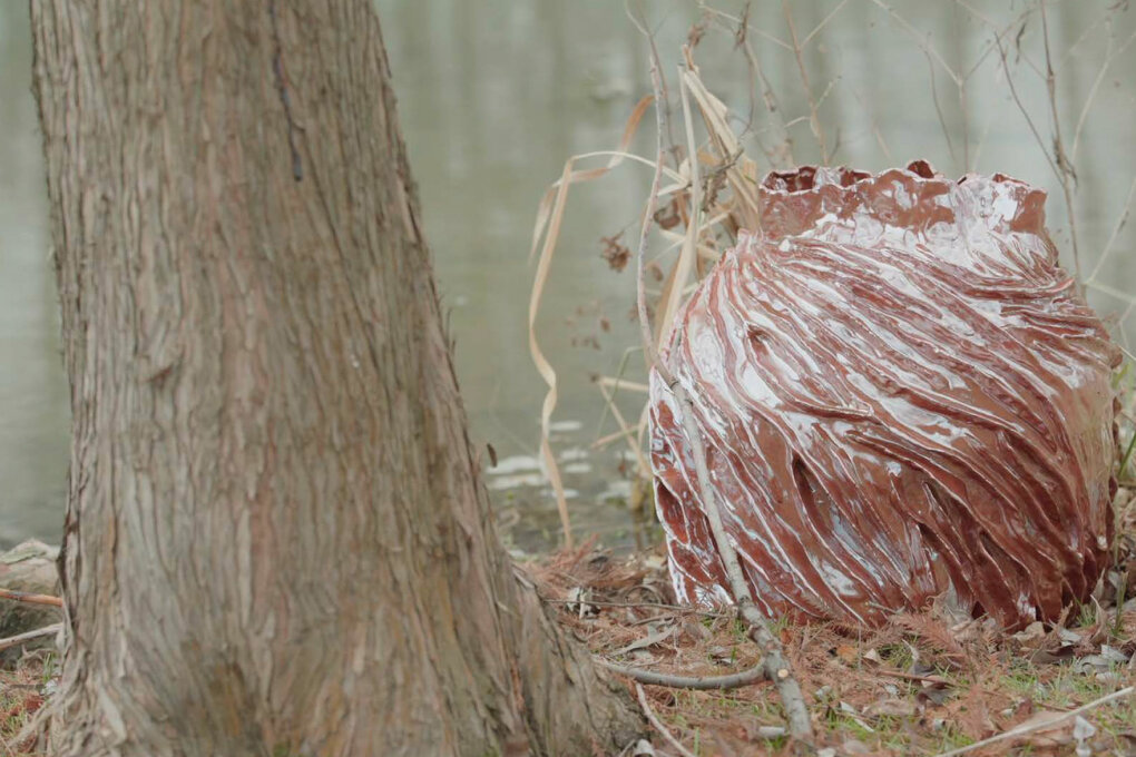 Csilla Nagy, Slávo Krekovič: Symbionts 2.0